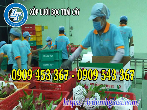 Xốp lưới bọc thanh long xuất khẩu Xốp lưới bọc trái cây