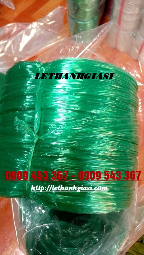 Dây nilon nem 600gam