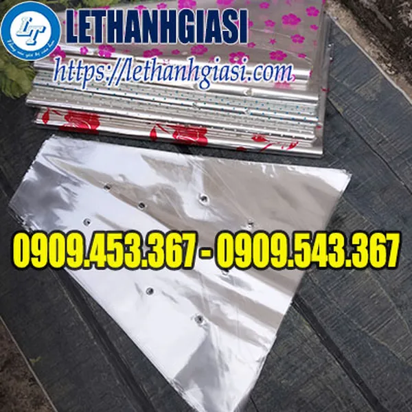 TÚI BÓNG KÍNH GÓI HOA