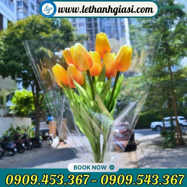 Túi bóng kiếng bọc hoa sang trọng Túi bóng kiếng bọc hoa