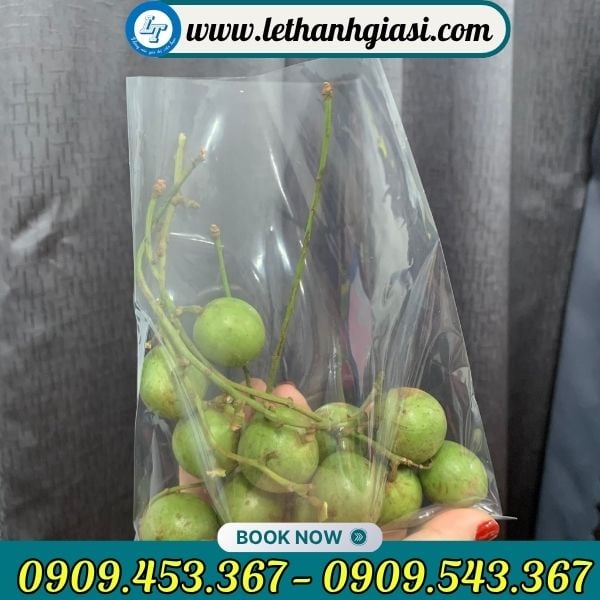 Ứng dụng túi pp kiếng Ứng dụng túi pp kiếng