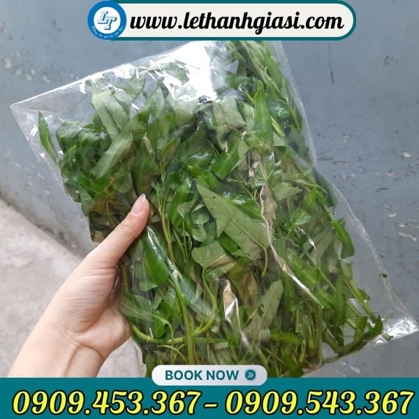 Túi PP kiếng đựng hàng bền đẹp Túi PP kiếng