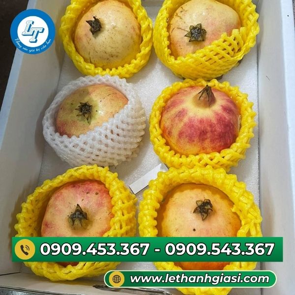 Xốp lưới bọc trái cây Xốp lưới bọc trái cây