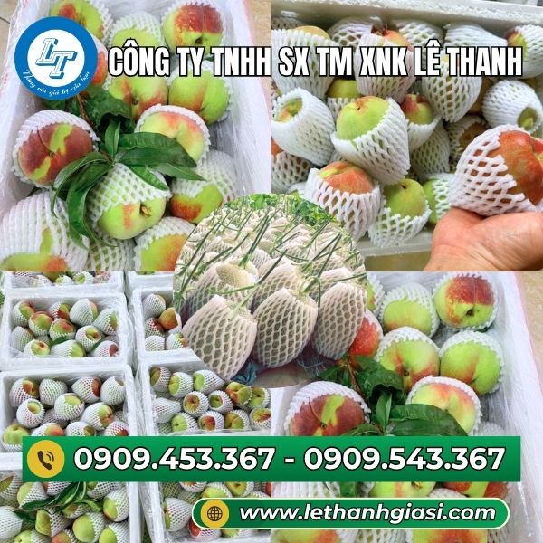 Xốp lưới bọc trái cây Cuộn xốp lưới màu trắng 5kg