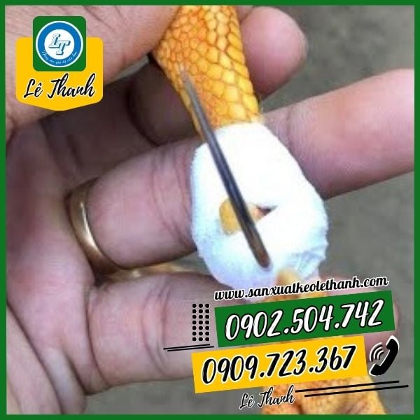 Ứng dụng của băng keo quấn cựa gà Ứng dụng của băng keo quấn cựa gà
