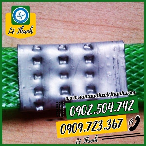 Ứng dụng của bọ sắt gai  Ứng dụng của bọ sắt gai