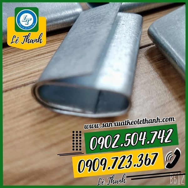 Cấu tạo của bọ sắt trơn Cấu tạo của bọ sắt trơn