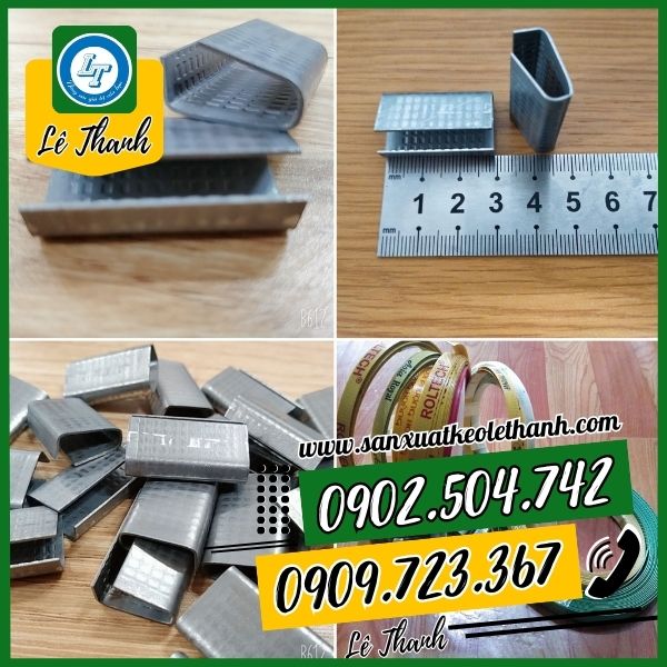 Cấu tạo kích thước của bọ sắt gai Cấu tạo kích thước của bọ sắt gai