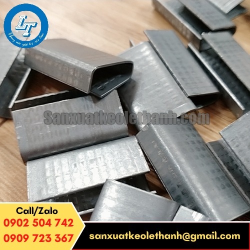 Bọ sắt có gai nhám đóng đai Bọ sắt có gai nhám đóng đai