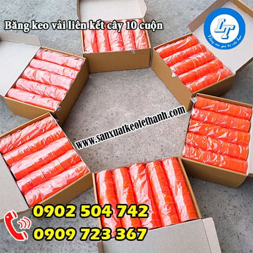 Băng keo vải liên kết 10 cuộn 1 cây