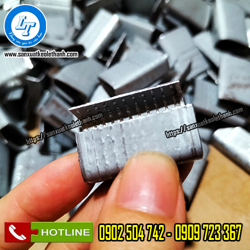 Bọ sắt gai đóng đai Bọ sắt gai đóng đai