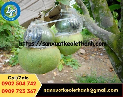 Ứng dụng của dây rút nhựa trong nông nghiệp Ứng dụng của dây rút nhựa trong nông nghiệp