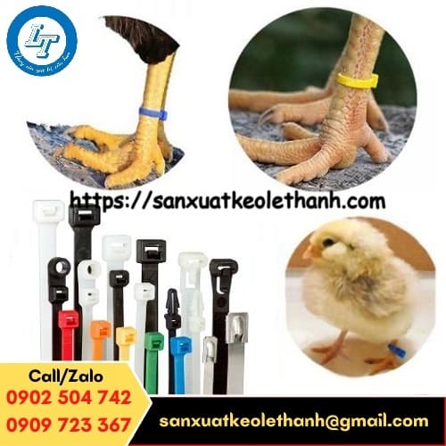 Ứng dụng của dây rút nhựa màu trong chăn nuôi Ứng dụng của dây rút nhựa màu trong chăn nuôi