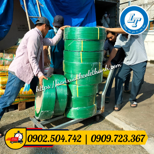 Giao sỉ dây đai pet giá rẻ Giao sỉ dây đai pet giá rẻ