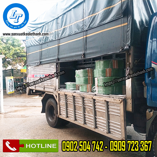 Giao sỉ dây đai pet cho khách Giao sỉ dây đai pet cho khách