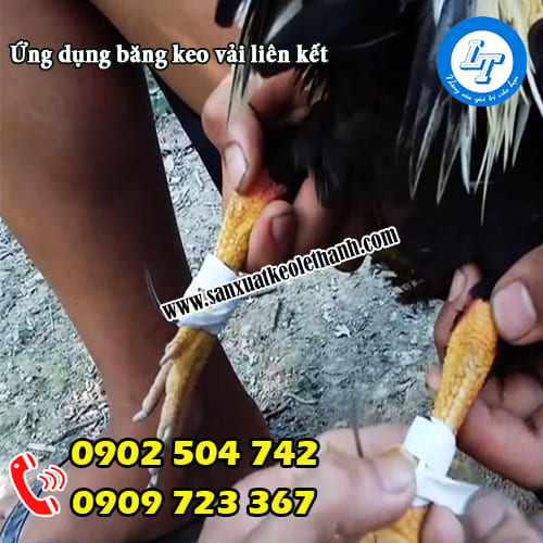 Ứng dụng băng keo vải liên kết