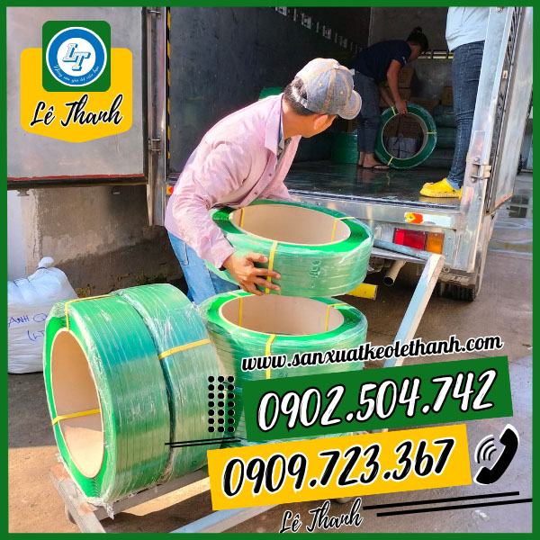 Miễn phí giao hàng dây đai pet Miễn phí giao hàng dây đai pet