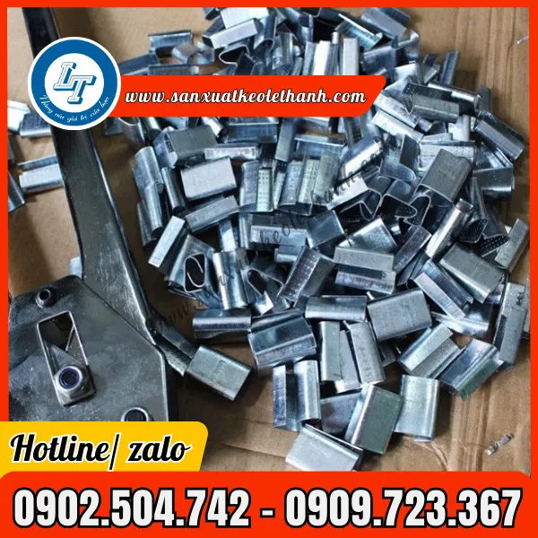BỌ SẮT CÓ GAI