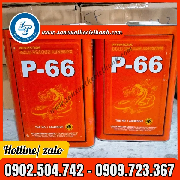 KEO RỒNG VÀNG P66