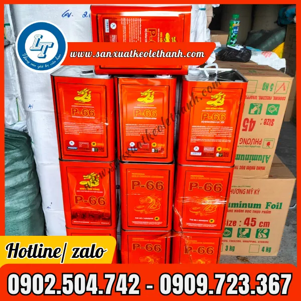 KEO RỒNG VÀNG P66