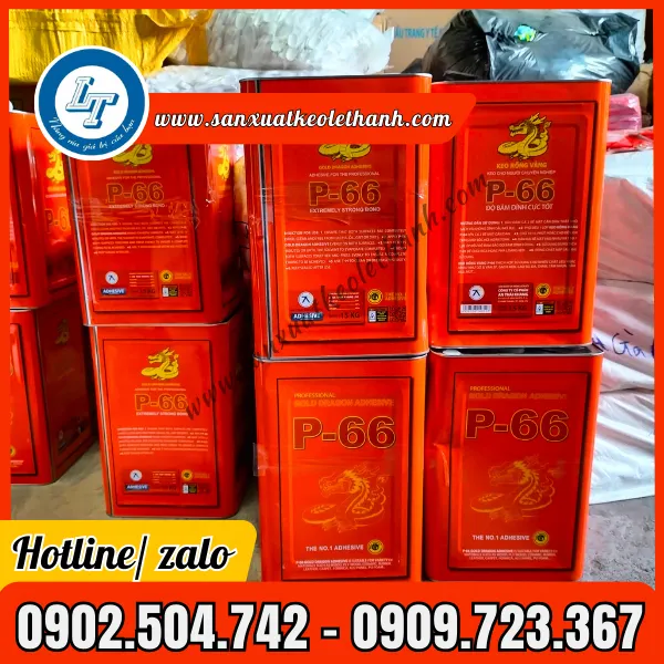 KEO RỒNG VÀNG P66