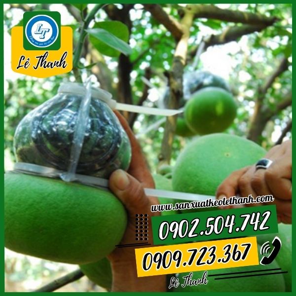 Ứng dụng của dây rút nhựa trong đời sống Ứng dụng của dây rút nhựa trong đời sống