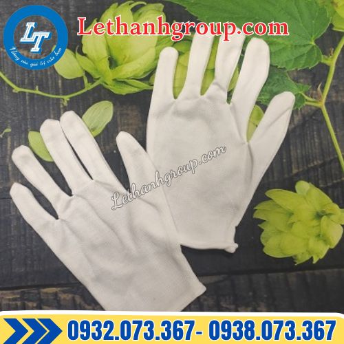 bao tay thun trắng l+2 giá rẻ cho đại lý hcm