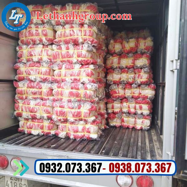 cung cấp sỉ số lượng lớn găng tay phủ cao su giá rẻ uy tín nhất