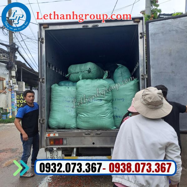 dép y tế giá sỉ tại công ty