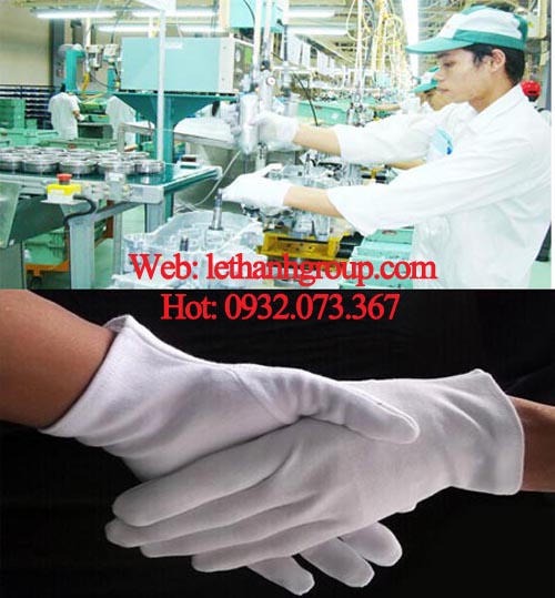 bao tay cotton