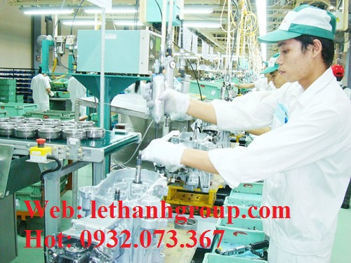 GĂNG TAY COTTON TRẮNG ỨNG DỤNG TRONG NHIỀU NGÀNH XẢN XUẤT GĂNG TAY COTTON TRẮNG ỨNG DỤNG TRONG NHIỀU NGÀNH XẢN XUẤT