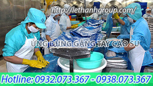 ỨNG DỤNG GĂNG TAY CAO SU GIA DỤNG TRONG LÀM VIỆC ỨNG DỤNG GĂNG TAY CAO SU GIA DỤNG TRONG LÀM VIỆC