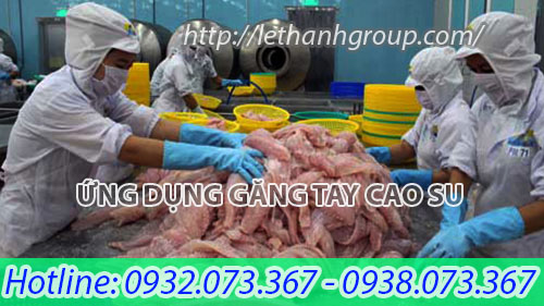 ứng dụng găng tay cao su Nam Long trong thủy hải sản ứng dụng găng tay cao su Nam Long trong thủy hải sản