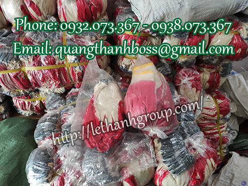 GĂNG TAY NHÚNG NHỰA CHẤT LƯỢNG GĂNG TAY NHÚNG NHỰA CHẤT LƯỢNG