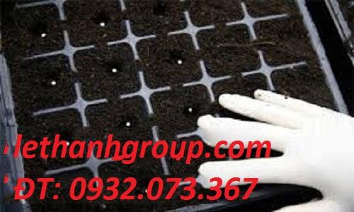 Găng tayn vải thun trắng