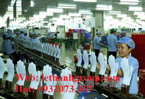 Xưởng sản xuất bao tay vải cotton trắng giá sỉ Xưởng sản xuất bao tay vải cotton trắng giá sỉ