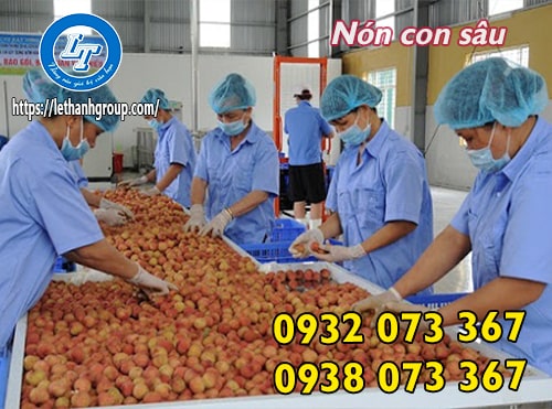 MUA NÓN CON SÂU GIÁ RẺ BÌNH TÂN, BÌNH CHÁNH TPHCM NÓN CON SÂU TRONG CHẾ BIẾN THỰC PHẨM