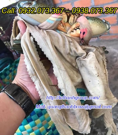 Nơi mua bán vải vụn TPHCM giá rẻ Nơi mua bán vải vụn TPHCM giá rẻ