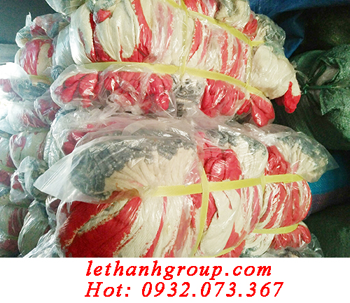 GĂNG TAY NHÚNG NHỰA