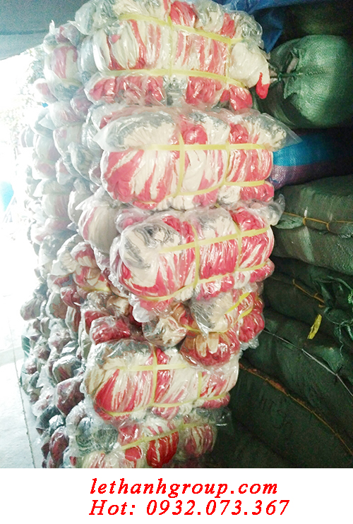 găng tay len nhúng nhựa