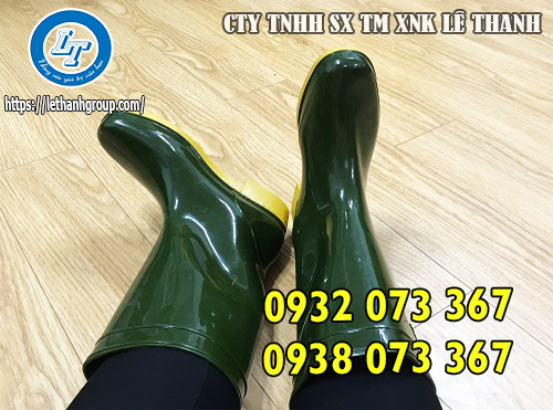 ỦNG LỘI RUỘNG, ĐI CẤY LỘI NƯỚC GIÁ RẺ CHO NÔNG DÂN ỦNG THÙY DƯƠNG