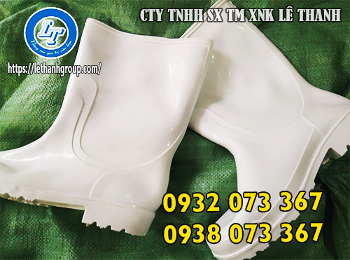 ỦNG LỘI RUỘNG, ĐI CẤY LỘI NƯỚC GIÁ RẺ CHO NÔNG DÂN ỦNG MÀU TRẮNG