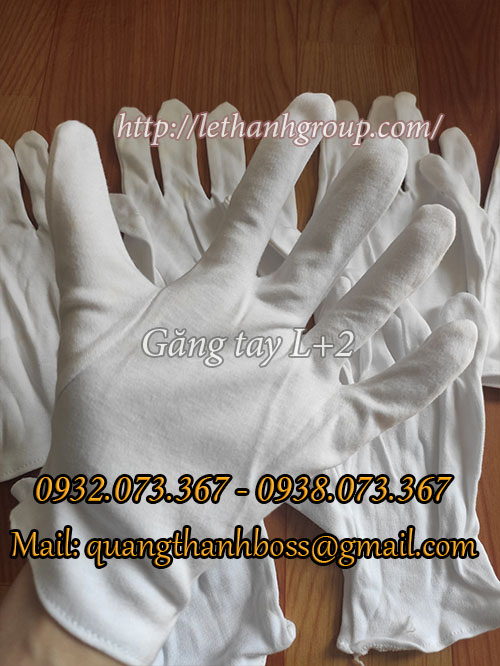 găng tay trắng L+2 găng tay trắng L+2