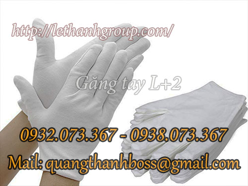 găng tay vải thun trắng L+2 găng tay vải thun trắng L+2