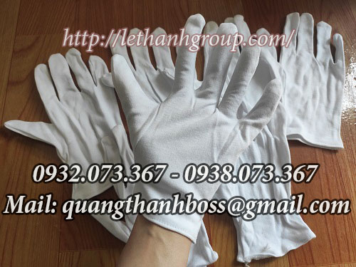 GĂNG TAY VẢI TRẮNG COTTON, POLY GĂNG TAY VẢI TRẮNG COTTON, POLY