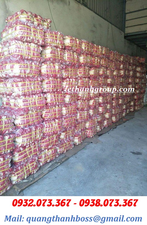 KHO GĂNG TAY NHÚNG NHỰA