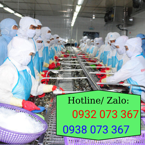 Bán tạp dề các loại giá sỉ rẻ tại TPHCM dùng tạp dề chống thấm nước trong chế biến thủy hải sản