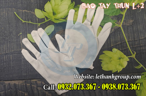 PHÂN PHỐI GIÁ RẺ BAO TAY THUN L+2 NỘI THÀNH VÀ NGOẠI THÀNH GĂNG TAY THUN TRẮNG L+2