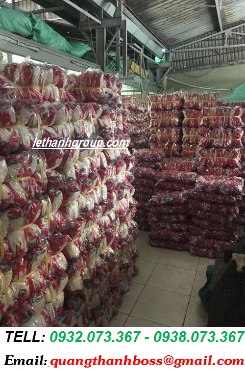 KHO BAO TAY LÊ THANH