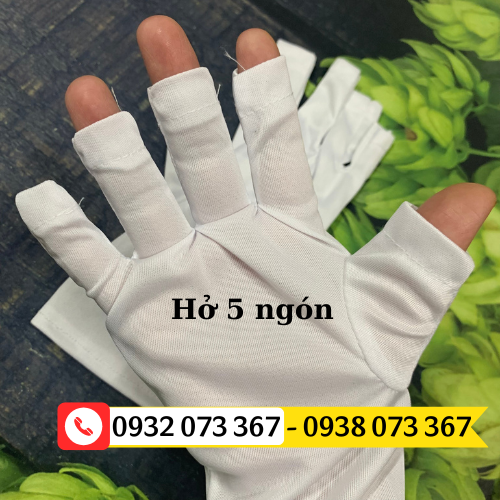 Phân phối sỉ lẻ các loại găng tay vải thun trắng mỏng găng tay hở 5 ngón